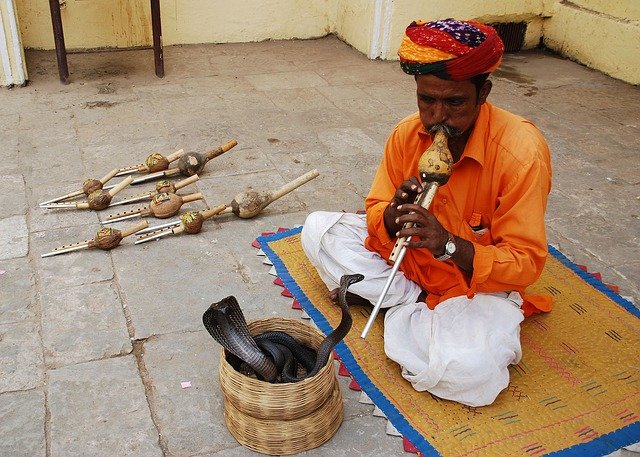 Snake charmer