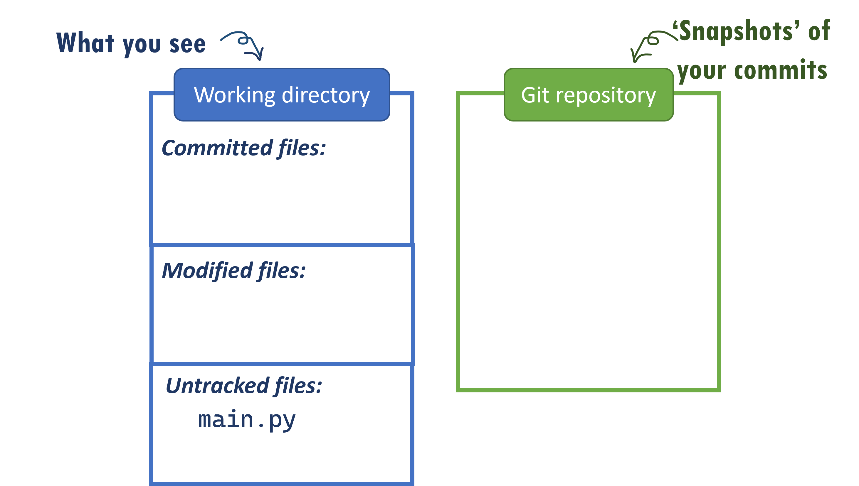 The 'sections' of a Git project