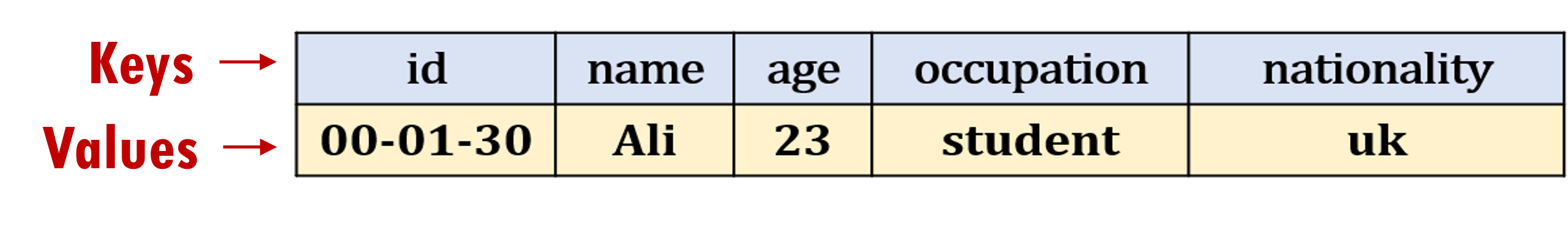 Representing an instance of a person using a dictionary